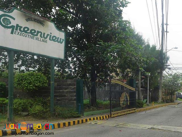 Big Residential Lot Greenview Executive Village Quezon City