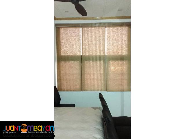 Roll up Window Blinds-Sunscreen