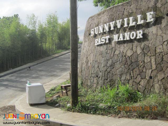 Sunnyville East Angono Lot for Sale near Taguig MAkati