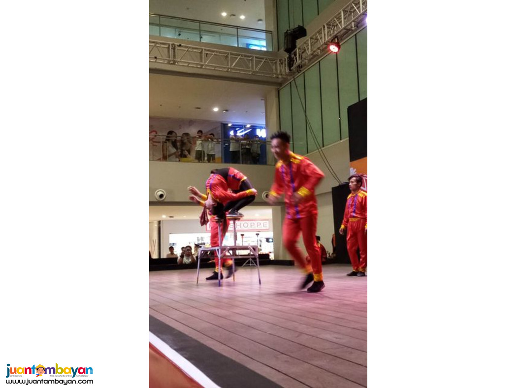 The Ultimate Children Party Acrobats Show