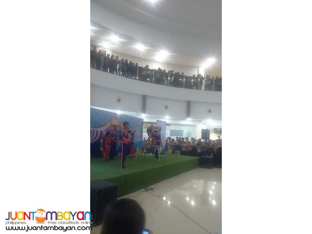 The Ultimate Children Party Acrobats Show