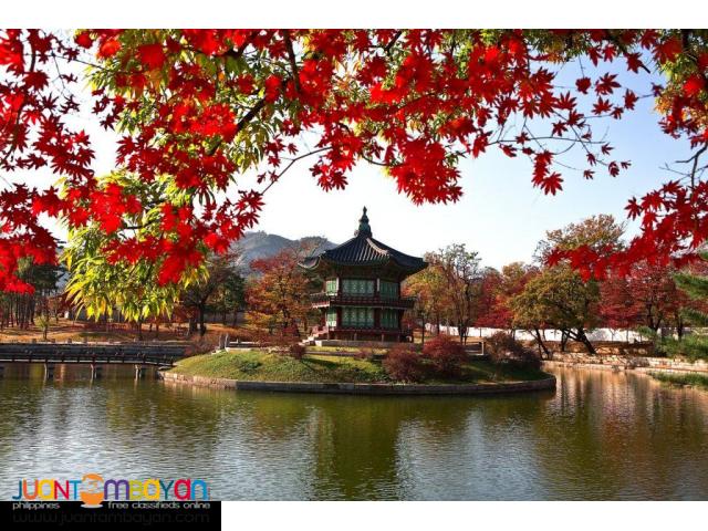 5D4N Korea Autumn Tour Package All In! 