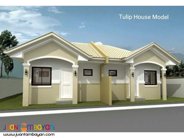 Socialized Housing  in Mulig Toril  Davao city