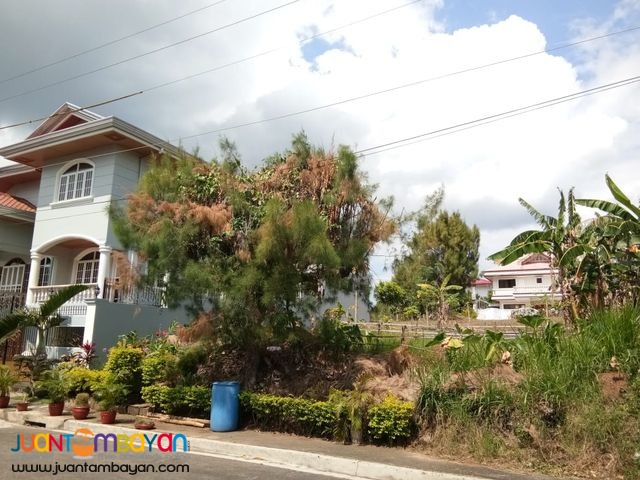 Lot For Sale in Royale Tagaytay Estates Phase 1