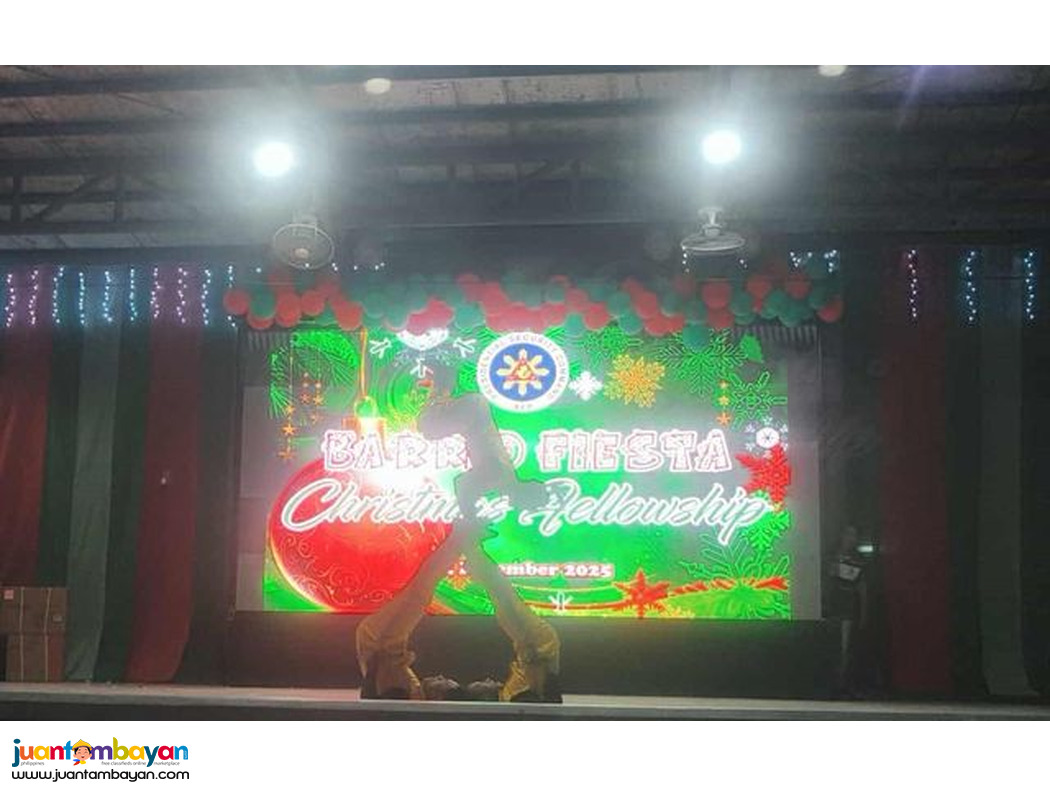 Circus, party, performers, acrobatics show