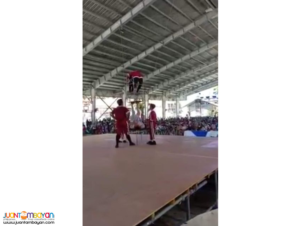 Circus, party, performers, acrobatics show