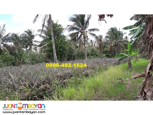 Preselling Residential Lots For Sale in Indang with 15% Discount