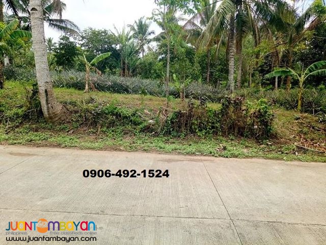 Preselling Residential Lots For Sale in Indang with 15% Discount