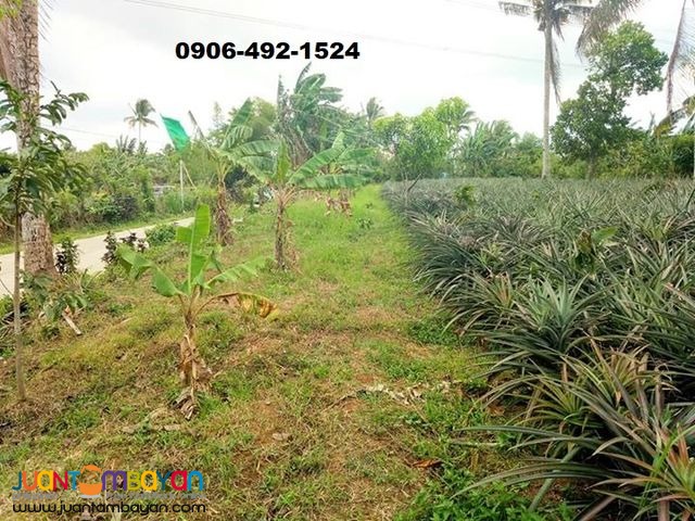 Preselling Residential Lots For Sale in Indang with 15% Discount