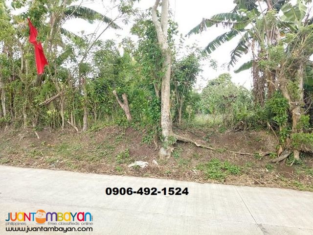 Preselling Residential Lots For Sale in Indang with 15% Discount