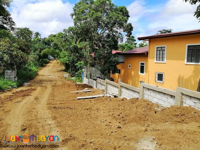 Springwood Ville 2 Residential and Farm Lots For Sale
