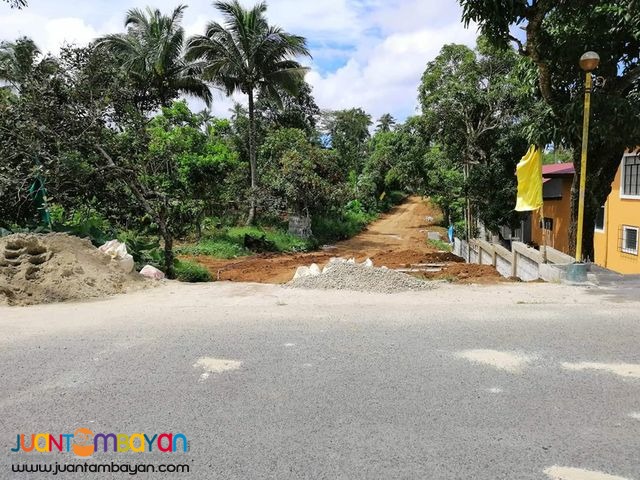 Springwood Ville 2 Residential and Farm Lots For Sale