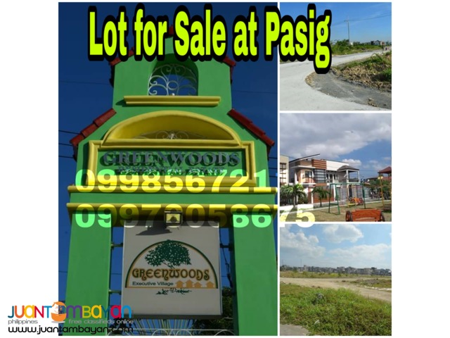 Residential Lot for sale at Greenwoods Pasig