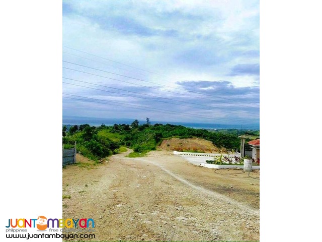 Very affordable lot for sale in Minglanilla at 5 years to pay 0%