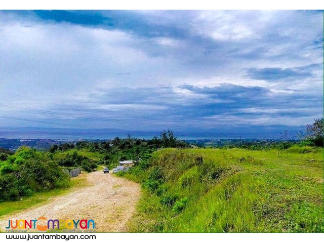 Very affordable lot for sale in Minglanilla at 5 years to pay 0%