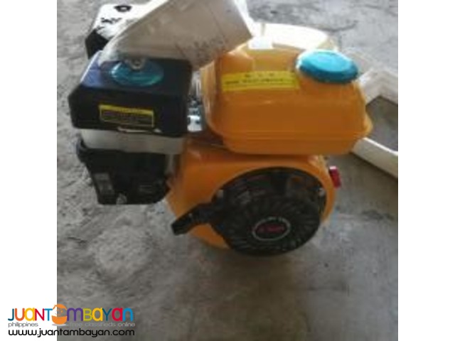 Gasoline generator: 168F (6.5HP) Gasoline engine