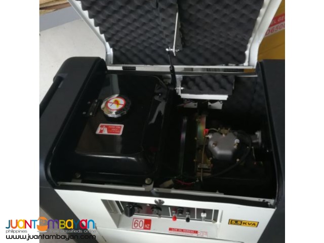 Constant energy 5KW (5.5KVA) mute Panda generator set