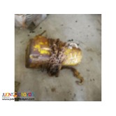 KITO 1T chain hoist in Japan