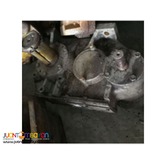 MITSUBISHI HR-D312-J3 reducer