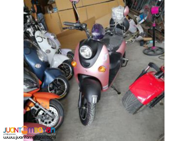 Lengthened The Turtle King