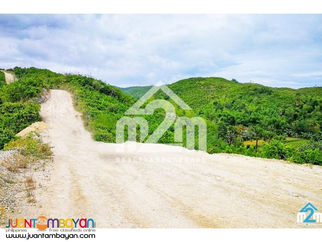 Alville Valley Subdivision(LOT ONLY) Brgy Tilhaong, Consolacion