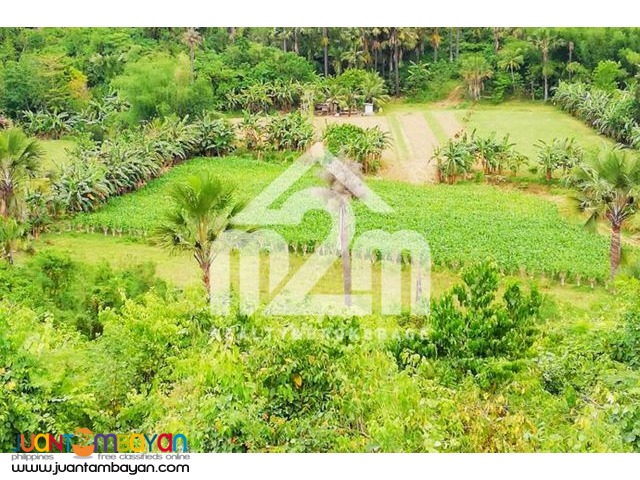 Alville Valley Subdivision(LOT ONLY) Brgy Tilhaong, Consolacion