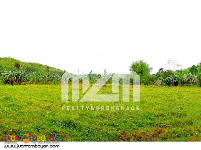 Alville Valley Subdivision(LOT ONLY) Brgy Tilhaong, Consolacion