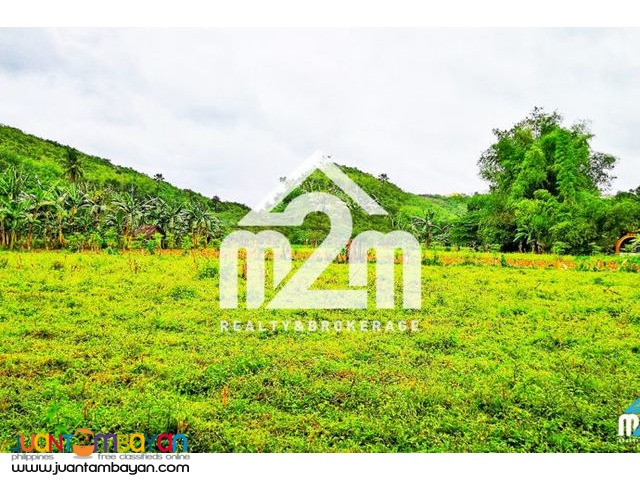 Alville Valley Subdivision(LOT ONLY) Brgy Tilhaong, Consolacion