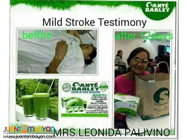 SANTE BARLEY- PURE ORGANIC