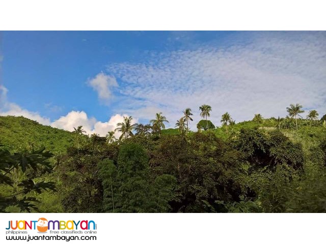 Buhisan, Cebu City Land for sale P5,000.00/sq.m. clean title