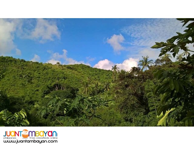 Buhisan, Cebu City Land for sale P5,000.00/sq.m. clean title