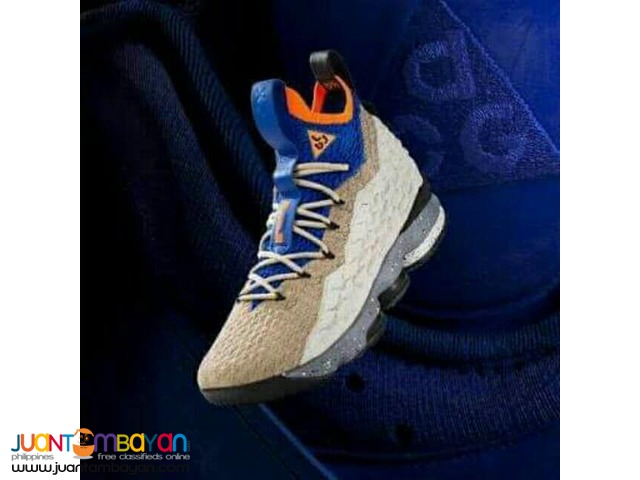 basketball shoes lebron 15