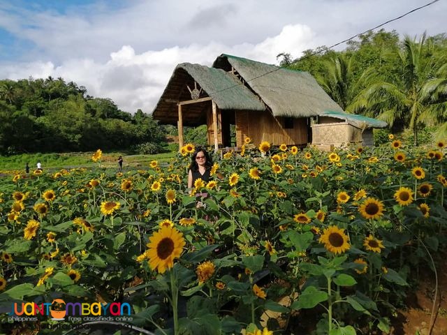 Lucban Quezon Day Tour + Thailand Inspired in Calauan