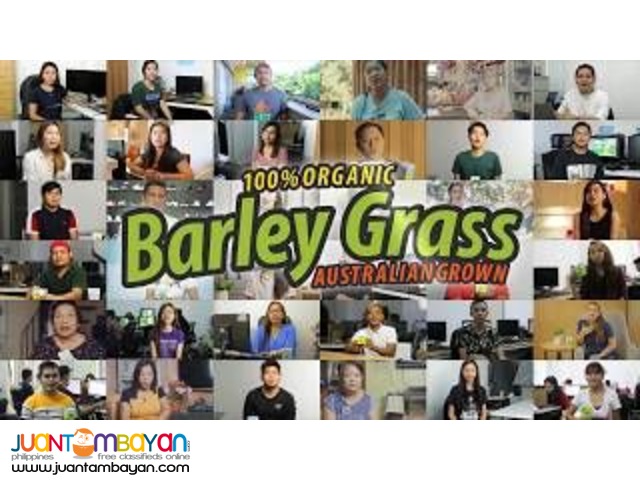 Salveo Barley Grass All Natural From Australia