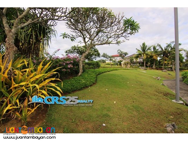 FOR SALE!! 900sqm Beach Lot in Amara Liloan Cebu