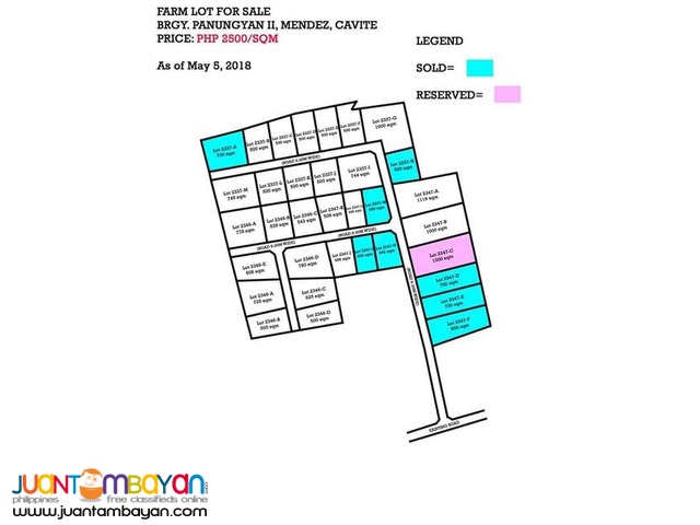 Subdivided Farm Lot for Sale