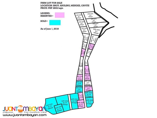 Subdivided Farm Lot for Sale