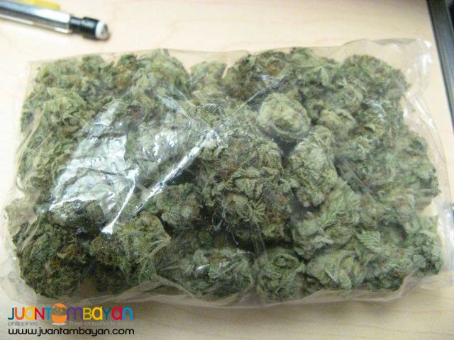 High Medical Marijuana, Rick Simpson Oil. High Medical Marijuana, Rick Simpson Oil.