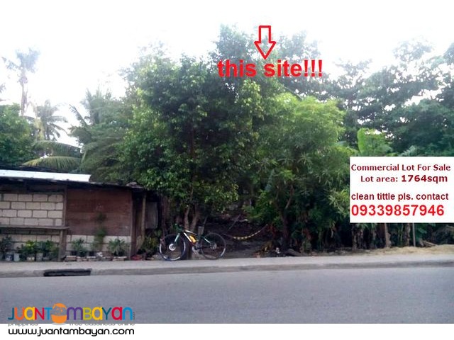 Commercial Lot Along the Road in Gun-ob Lapu-lapu City 