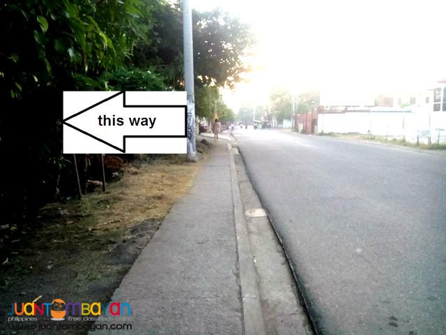 Commercial Lot Along the Road in Gun-ob Lapu-lapu City 