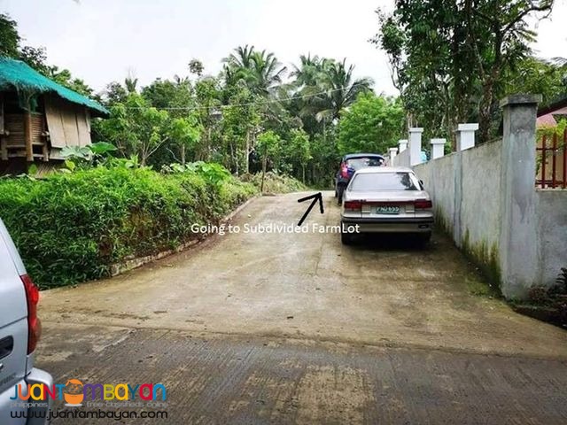 Balubad Residential Lot For Sale Alfonso Cavite