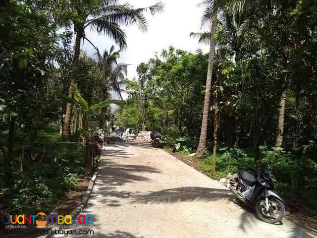 Balubad Residential Lot For Sale Alfonso Cavite