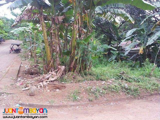 Lot sale in NUESTRA SNRA.DE LA PAZ SUBD ANTIPOLO CITY