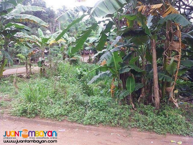 Lot sale in NUESTRA SNRA.DE LA PAZ SUBD ANTIPOLO CITY