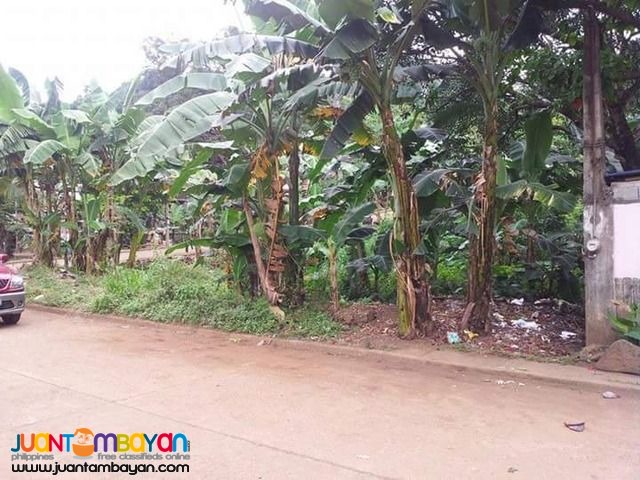 Lot sale in NUESTRA SNRA.DE LA PAZ SUBD ANTIPOLO CITY