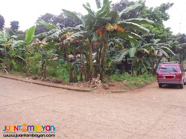 Lot sale in NUESTRA SNRA.DE LA PAZ SUBD ANTIPOLO CITY