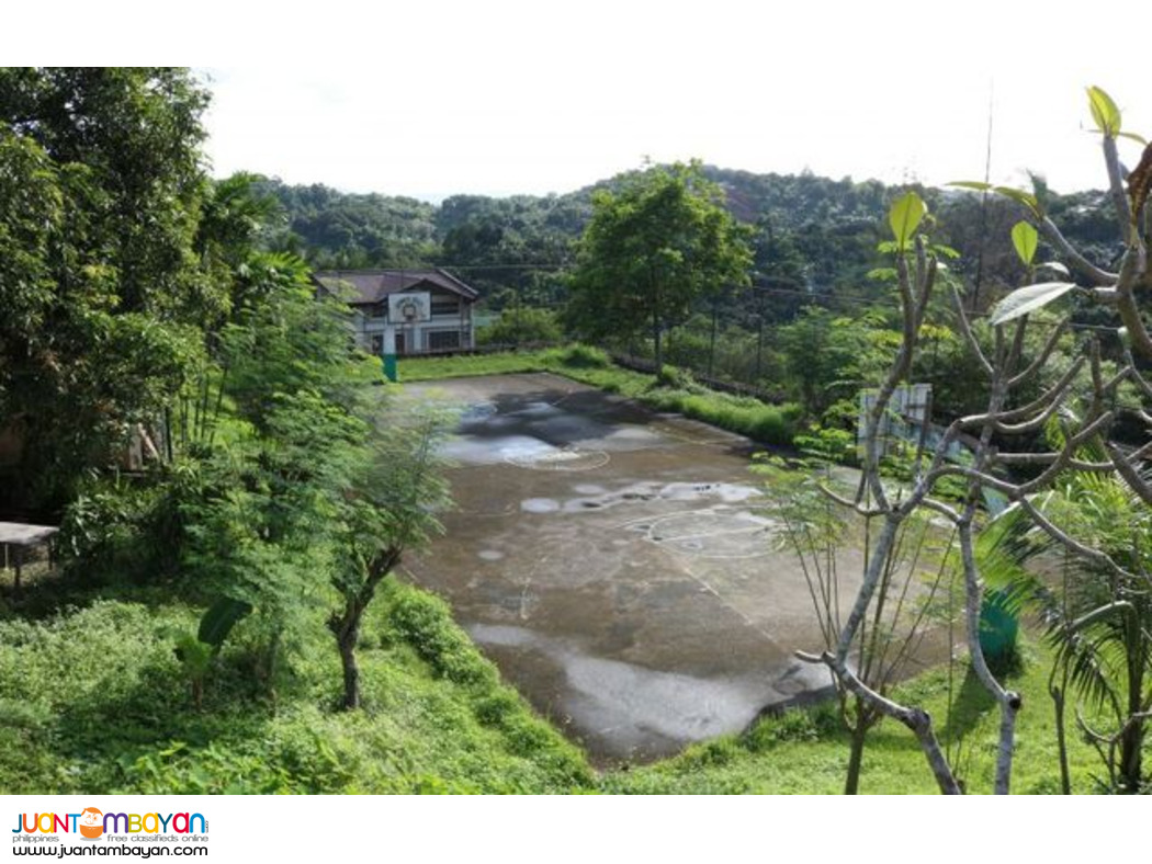LOT FOR SALE near Sumulong Antipolo Rizal - summerhills