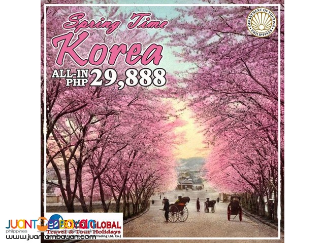 Cherry Blossom and Spring in Korea