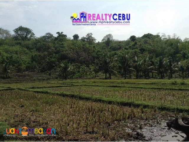 3.1 HECTARES AFFORDABLE FARM LOT IN SIATON, NEGROS ORIENTAL