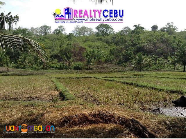 3.1 HECTARES AFFORDABLE FARM LOT IN SIATON, NEGROS ORIENTAL